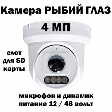 Сетевая IP камера 4,0 Mpix c POE панорамная (рыбий глаз) с флеш картой, микрофоном и динамиком KAM115 Сетевая IP камера 4,0 Mpix c POE панорамная (рыбий глаз) с флеш картой, микрофоном и динамиком KAM115